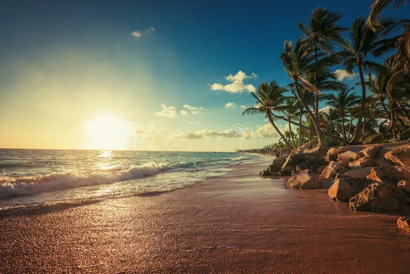 landscape paradise tropical island beach sunrise shot 5715979