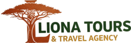 Best tours and travel agency in Kenya